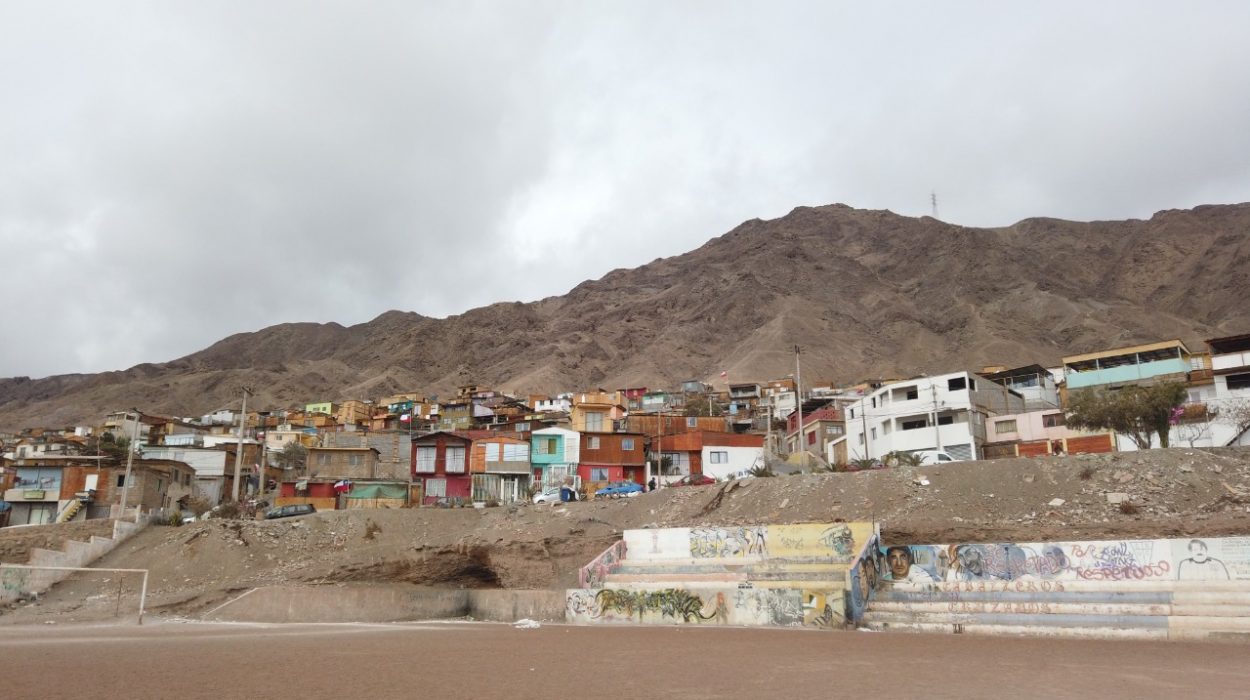 Diagnóstico Ocupación de Terrenos de Borde Cerro Antofagasta