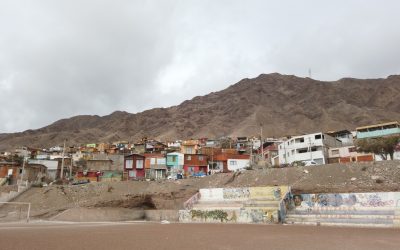 Diagnóstico Ocupación de Terrenos de Borde Cerro Antofagasta